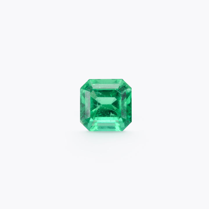 Panjshir Emerald #619043