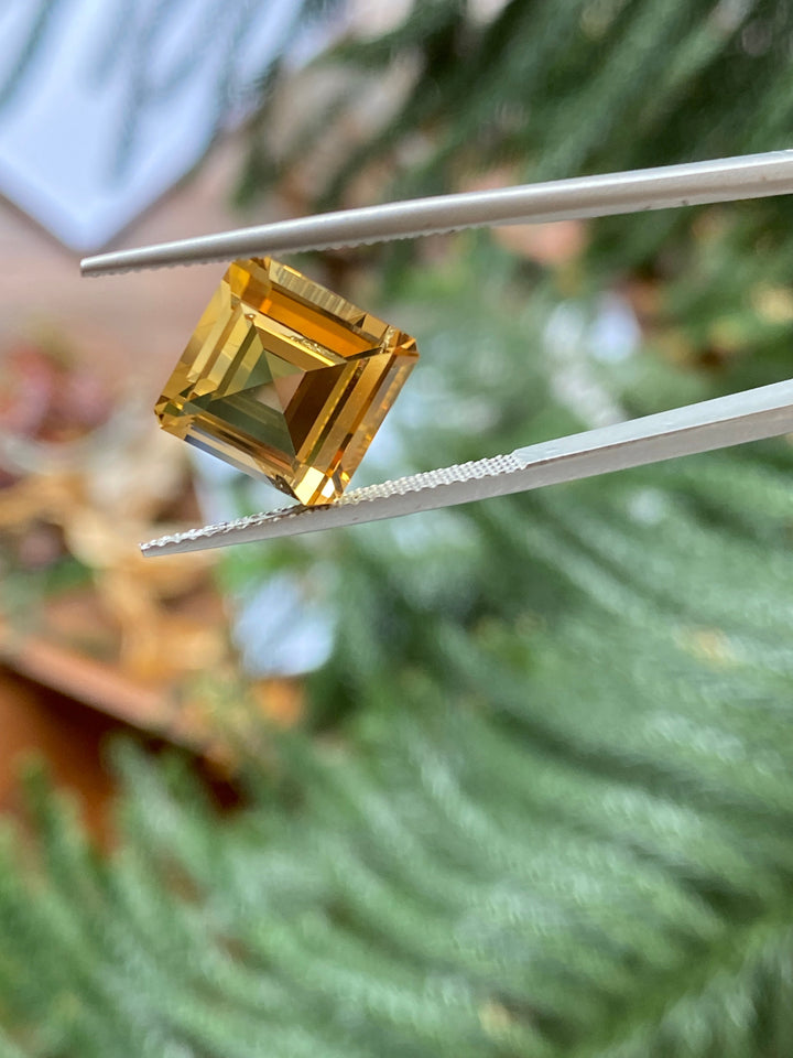 Imperial Topaz #613038