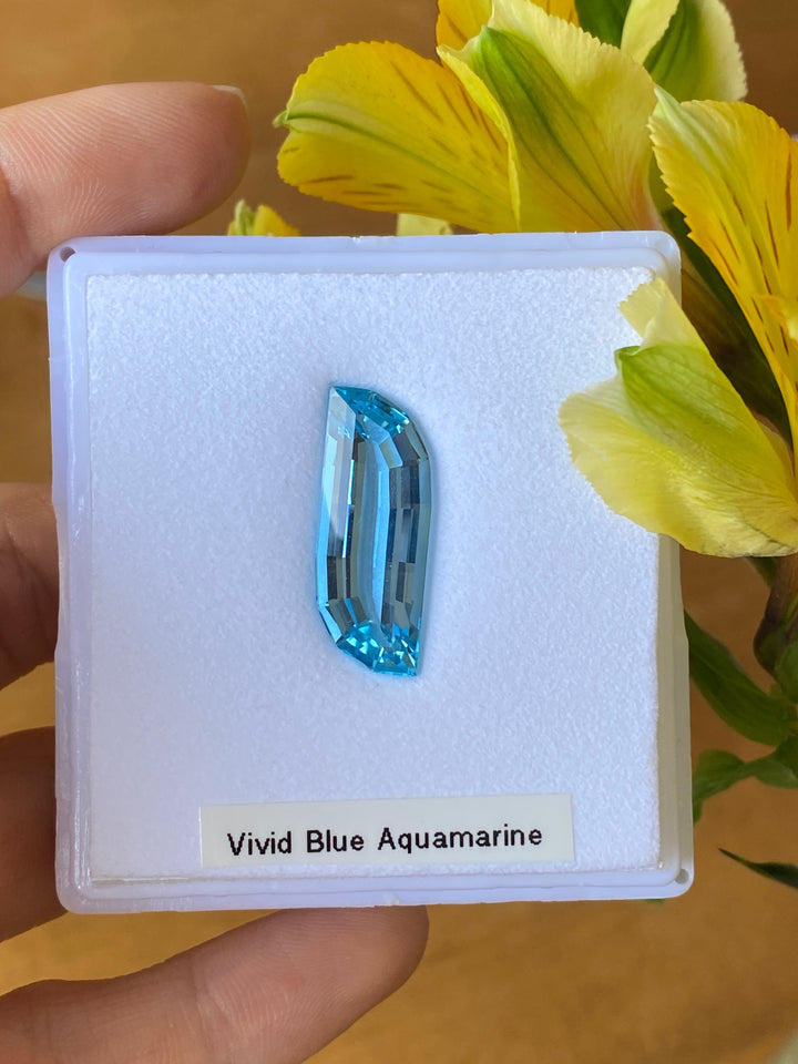 Aquamarine #613058