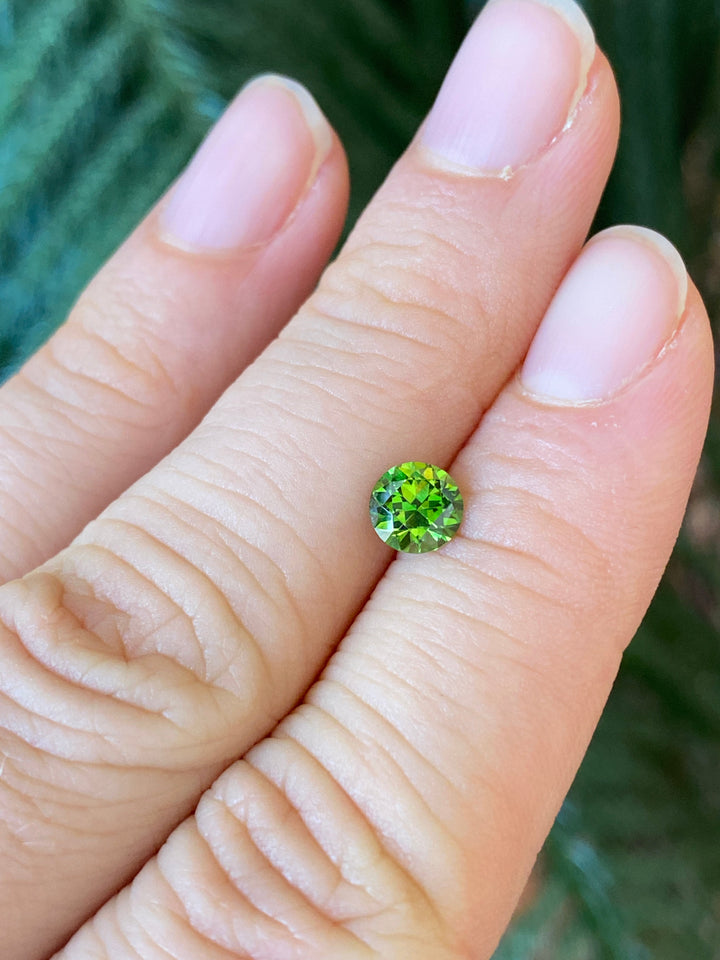 Demantoid Garnet #1016003