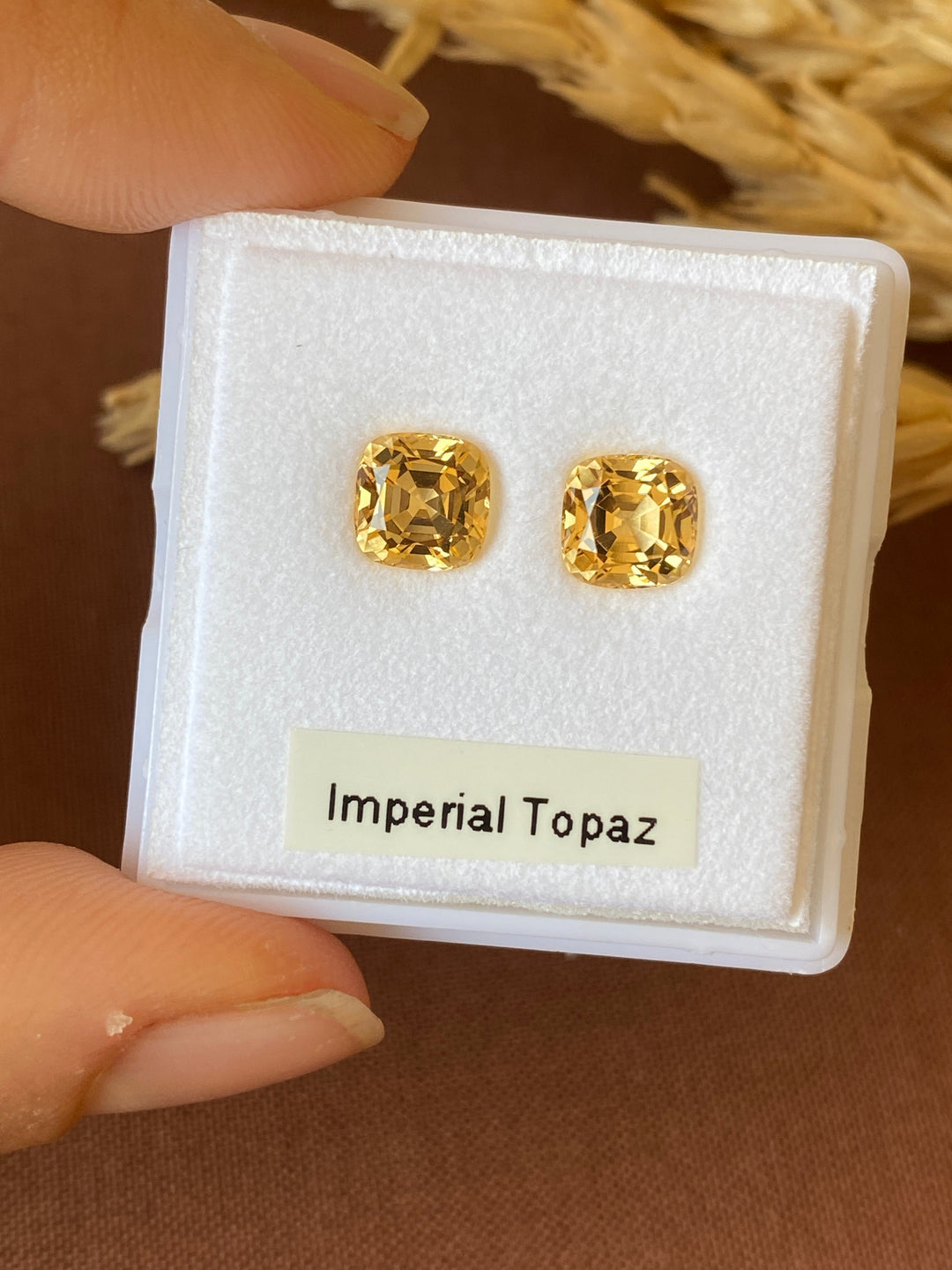 Imperial Topaz #119044